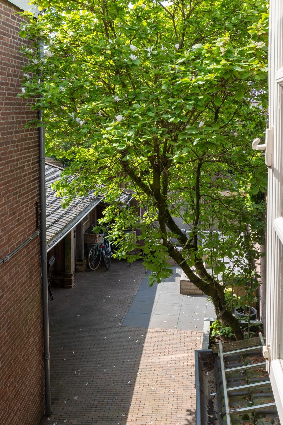 Photo 20 of Ginnekenweg 250