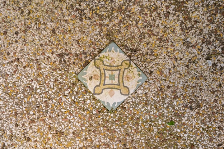 Foto 21 van Willem van Gentsvaart 28