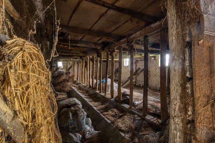 Foto 39 van Willem van Gentsvaart 28