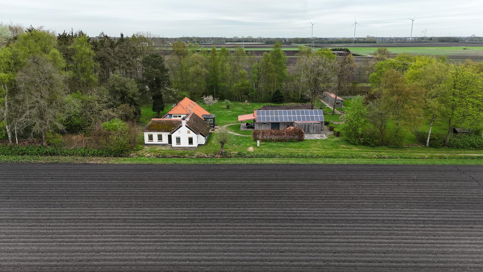 Foto 3 van Torenveen 9