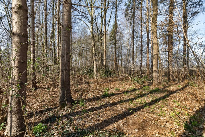 Foto 34 van Torenveen 9