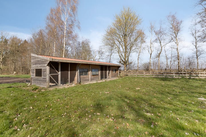 Foto 37 van Torenveen 9