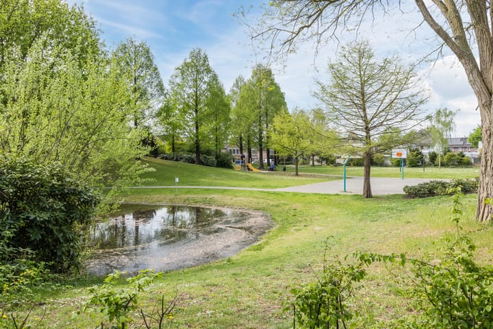 Foto 42 van Wetstrikkel 14