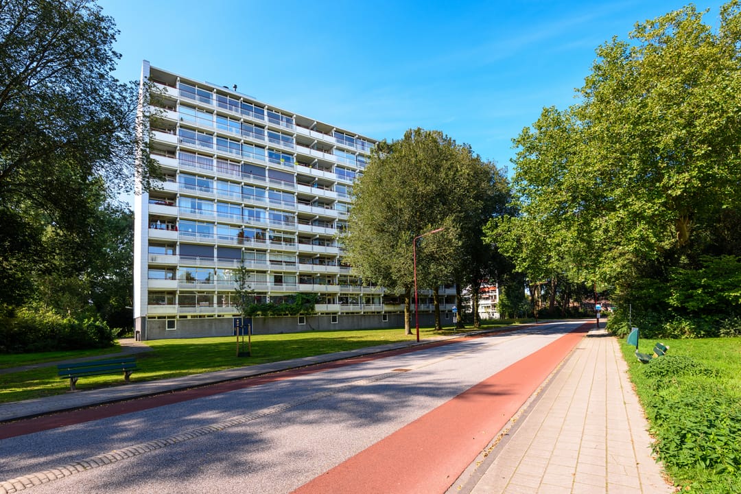 Foto 1 van Buizerd 42