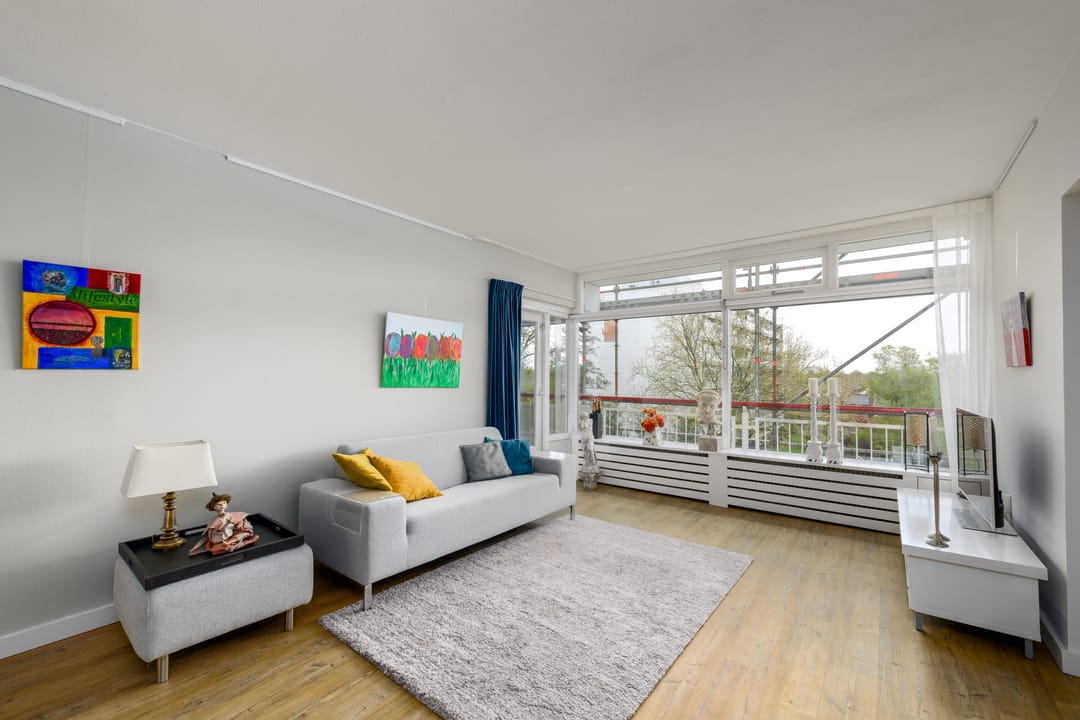 Foto 2 van Buizerd 42