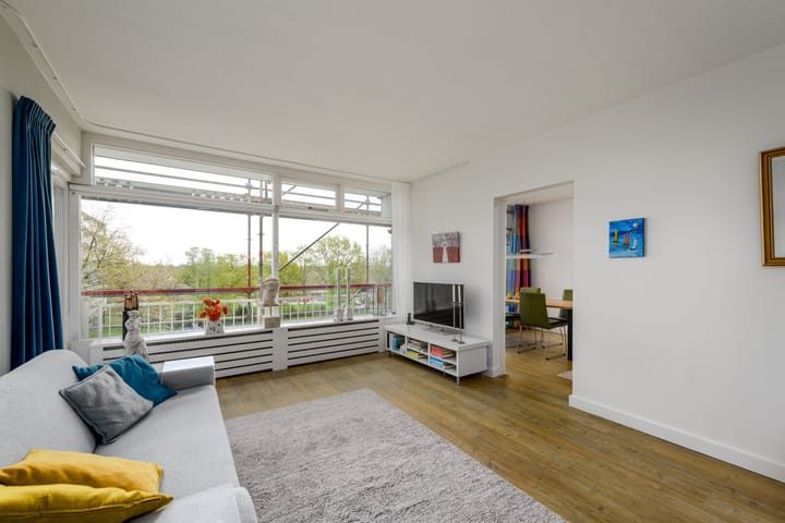 Foto 4 van Buizerd 42