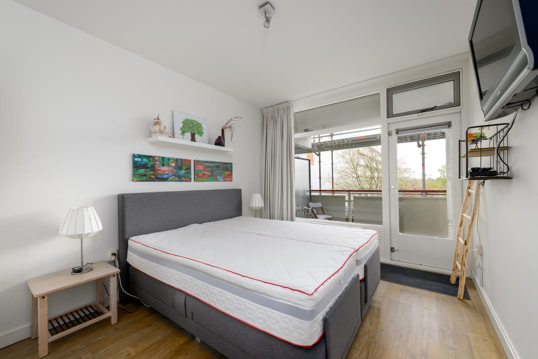 Foto 8 van Buizerd 42