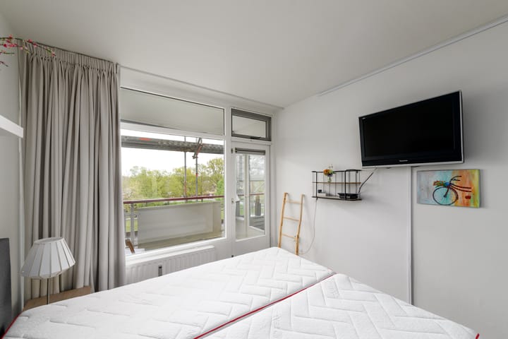 Foto 9 van Buizerd 42