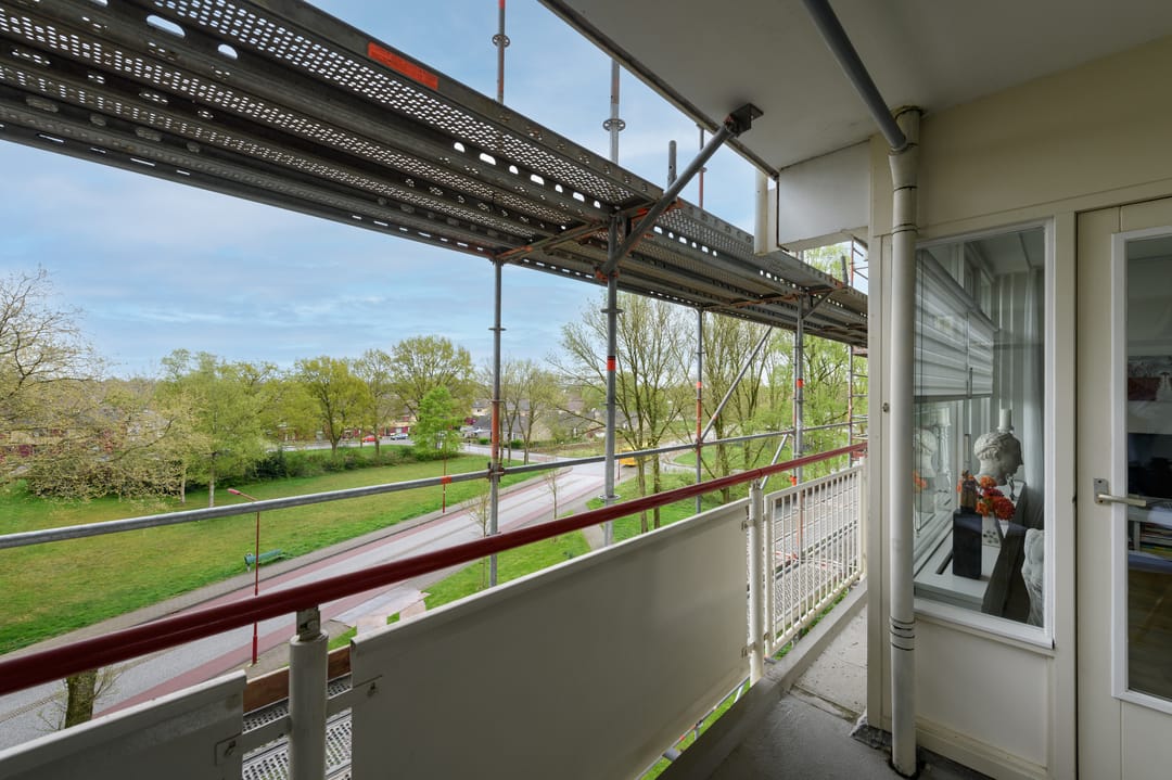 Foto 13 van Buizerd 42