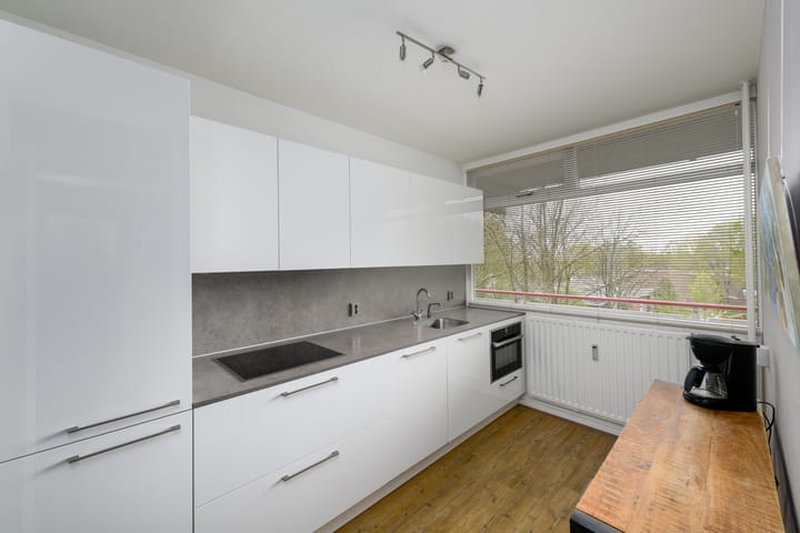 Foto 3 van Buizerd 42