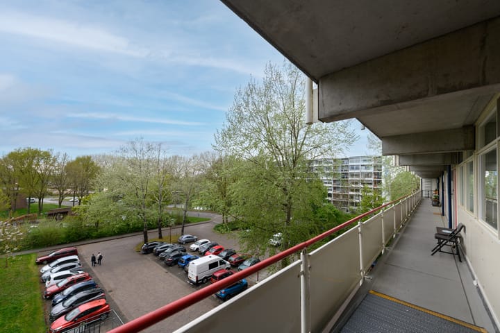 Foto 25 van Buizerd 42