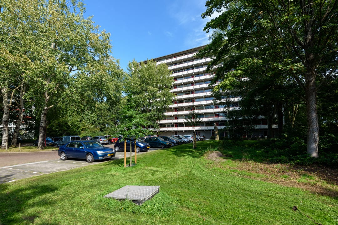 Foto 28 van Buizerd 42