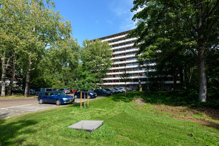 Foto 28 van Buizerd 42