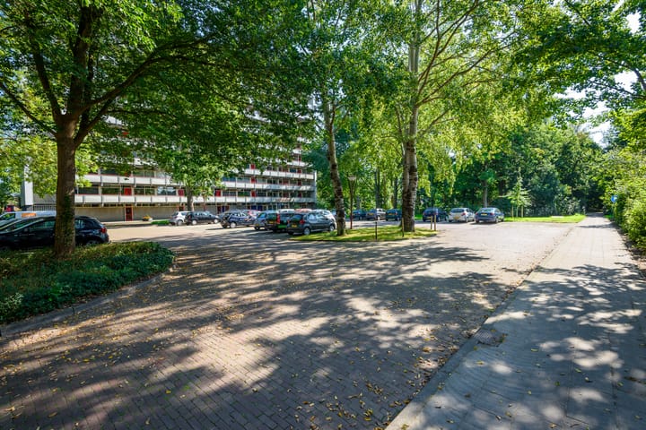 Foto 29 van Buizerd 42