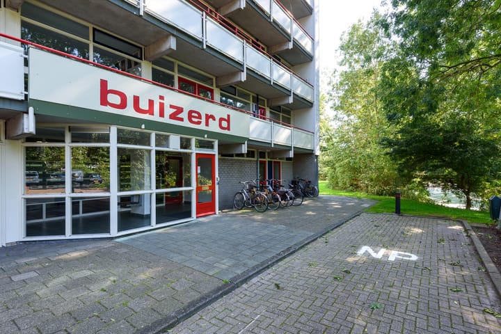 Foto 27 van Buizerd 42