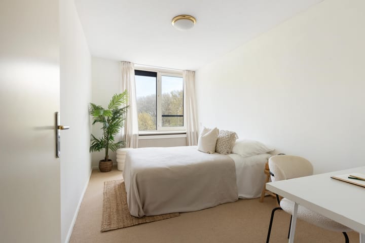 Foto 29 van Berberisweg 254