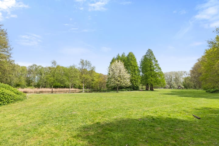 Foto 55 van Berberisweg 254