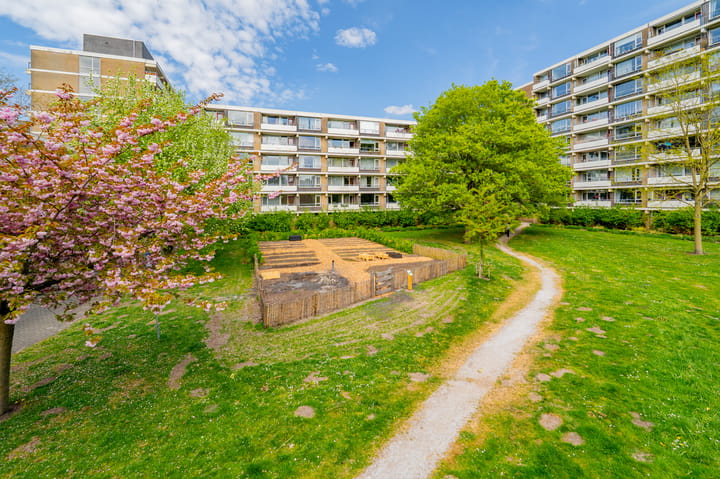 Foto 31 van Martin Luther Kinglaan 602