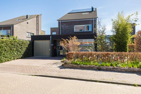 undefined main image