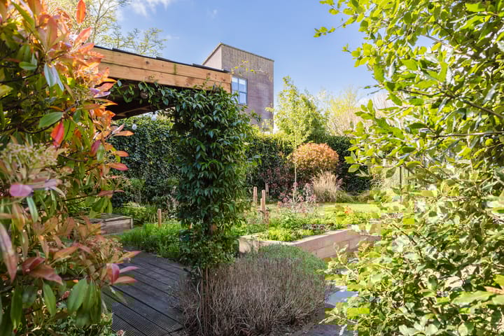 Photo 23 of Skûtsje 54