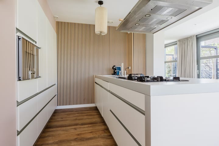 Photo 42 of Skûtsje 54