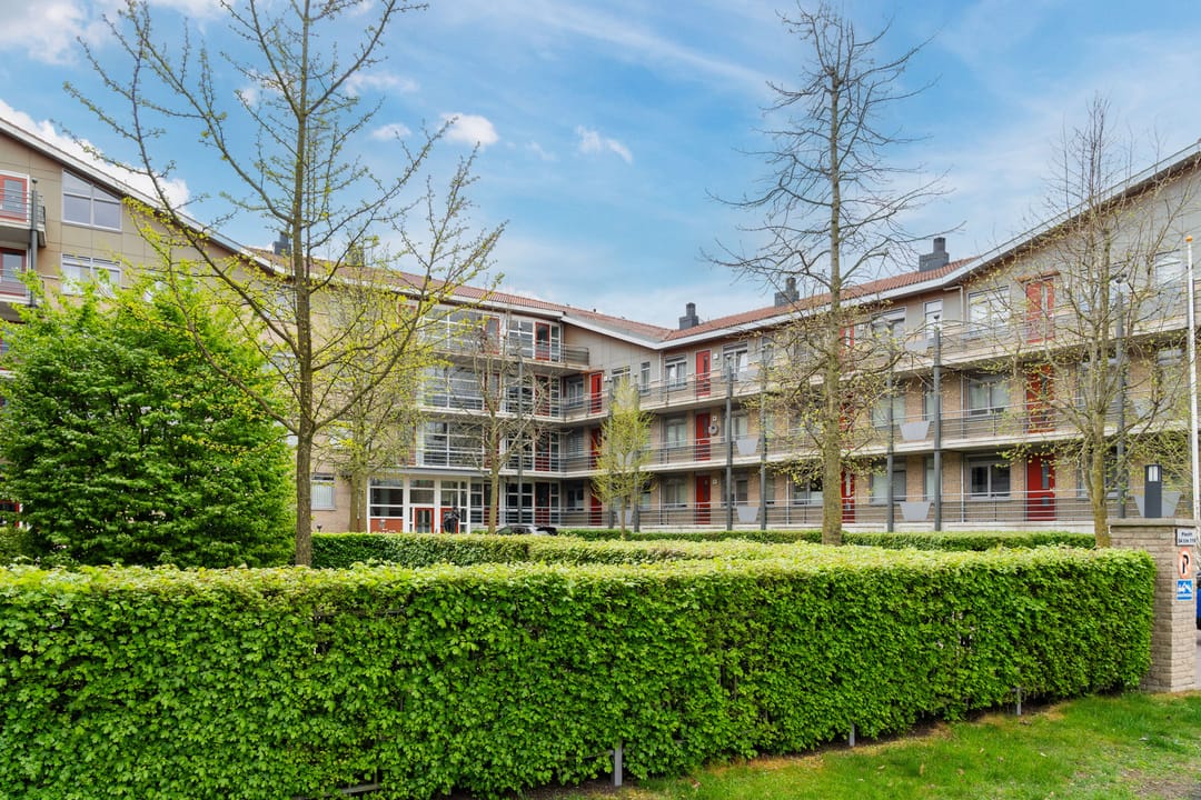 Foto 32 van Plecht 40