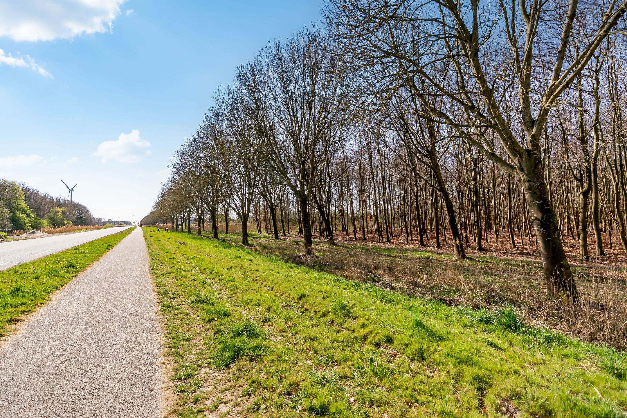 Foto 51 van Oeverwalweg 296