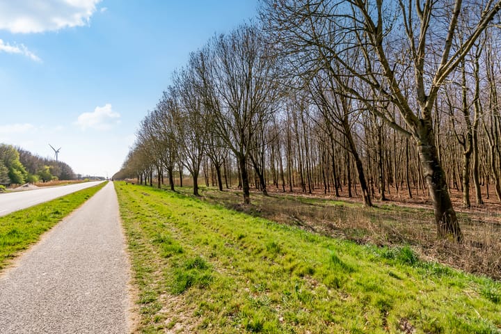 Foto 51 van Oeverwalweg 296