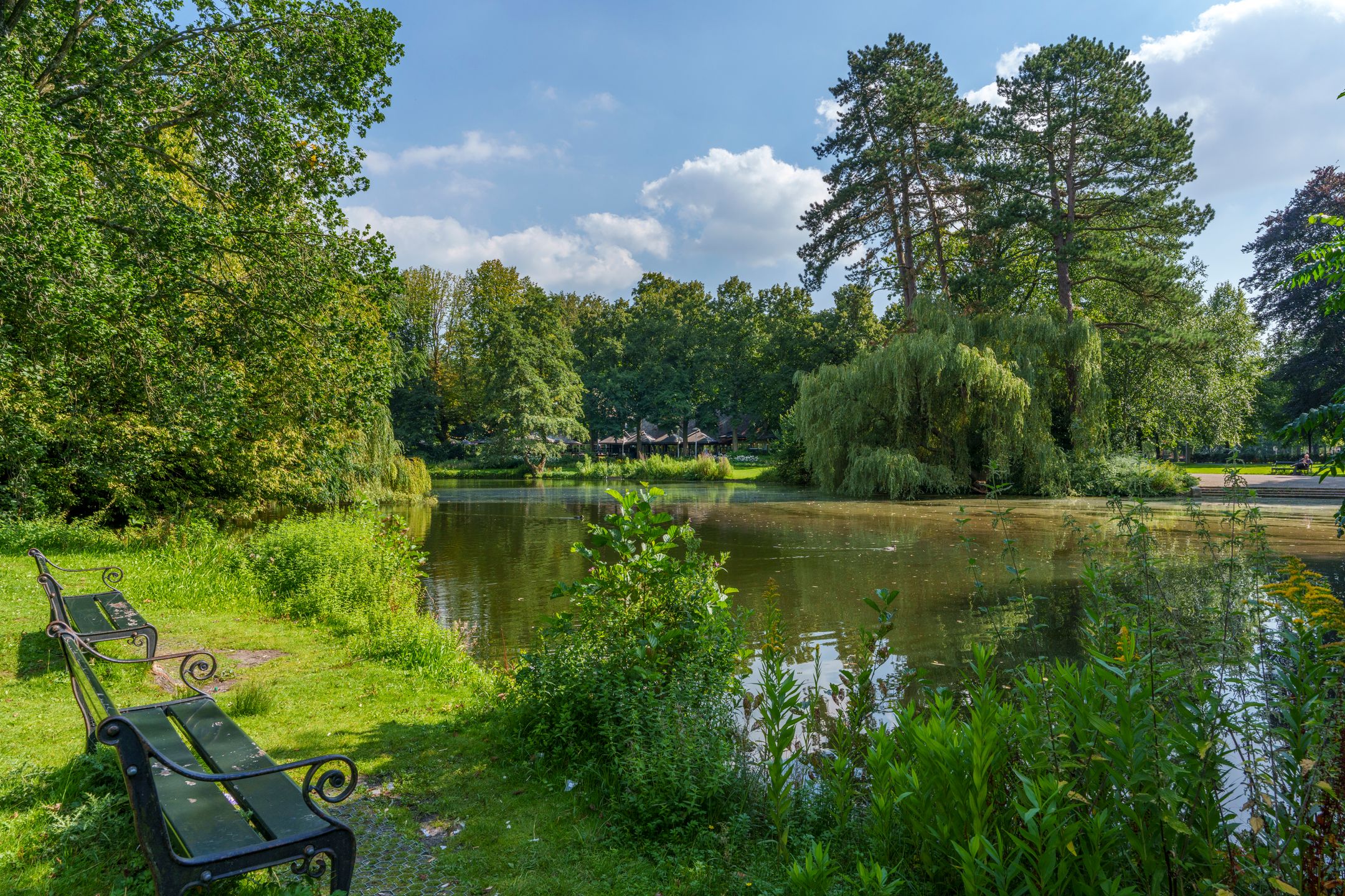 Foto 39 van Van Limburg Stirumstraat 4