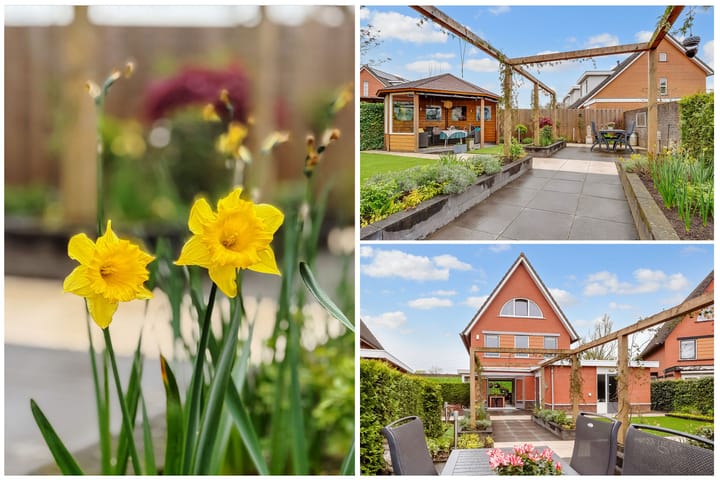 Foto 38 van Zoetegaarde 44