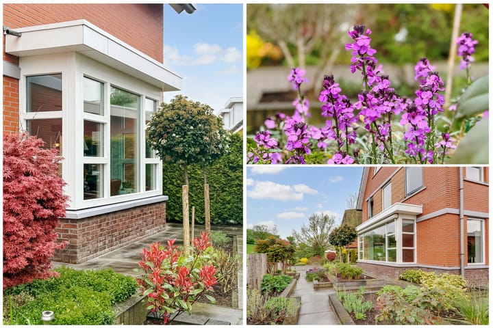 Foto 47 van Zoetegaarde 44