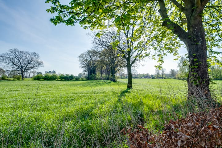 Foto 29 van 't Langenbarg 1