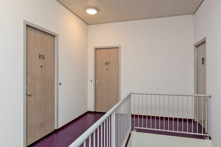 Foto 2 van IJdoornlaan 817