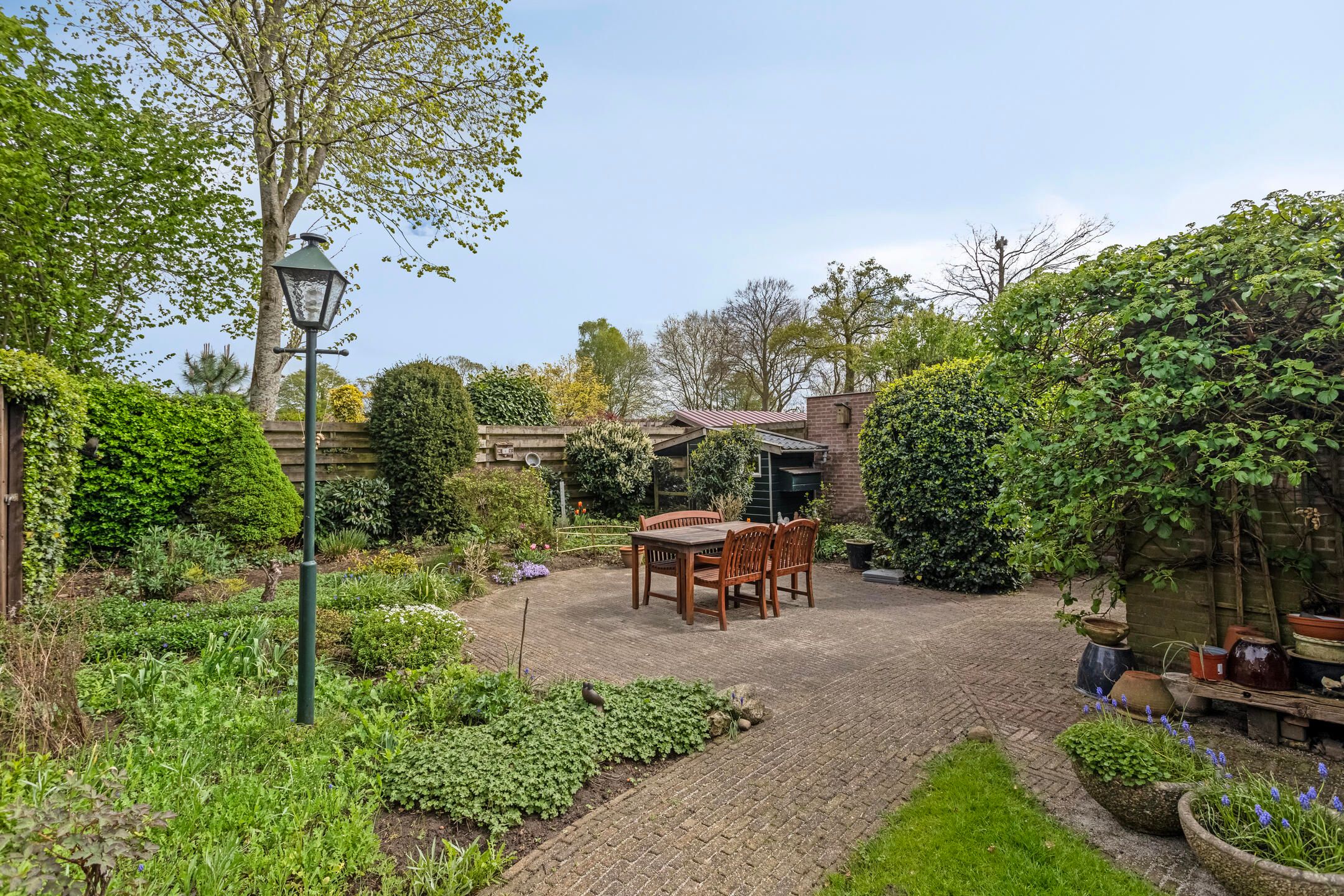 Photo 6 of Plataan 21