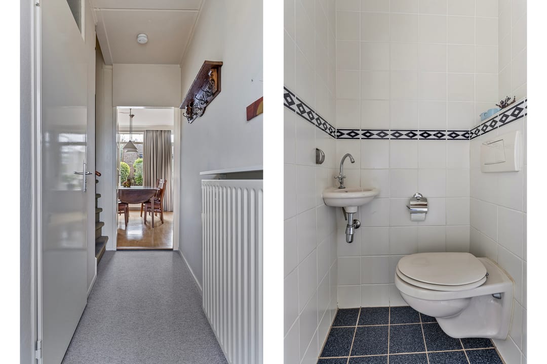 Photo 8 of Plataan 21