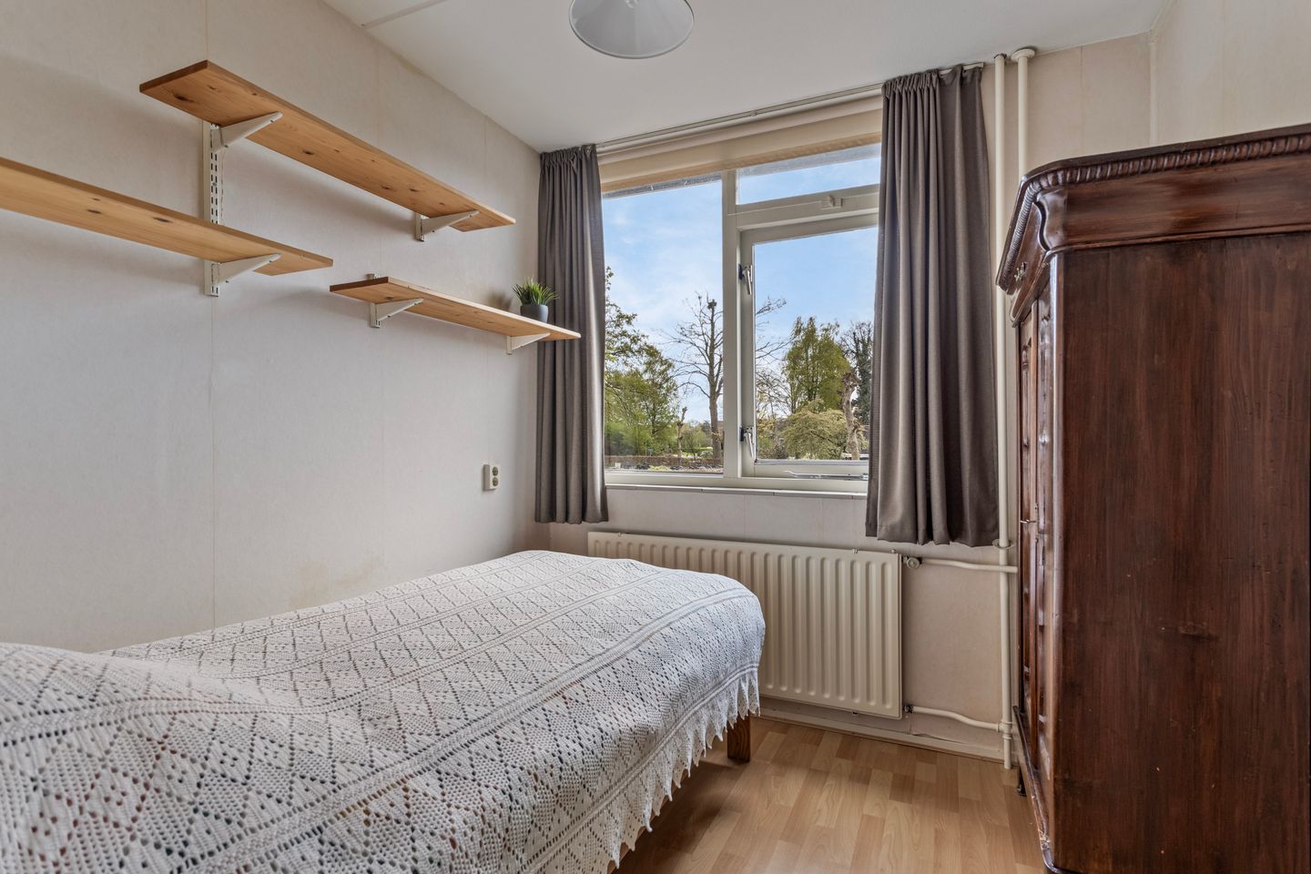 Photo 20 of Plataan 21