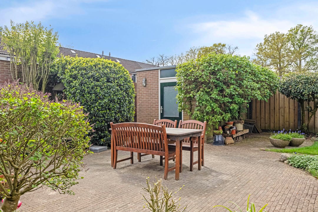 Photo 37 of Plataan 21