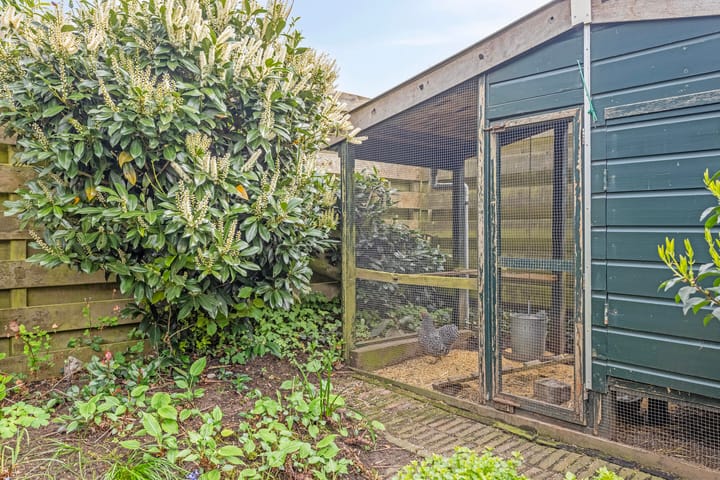 Foto 38 van Plataan 21