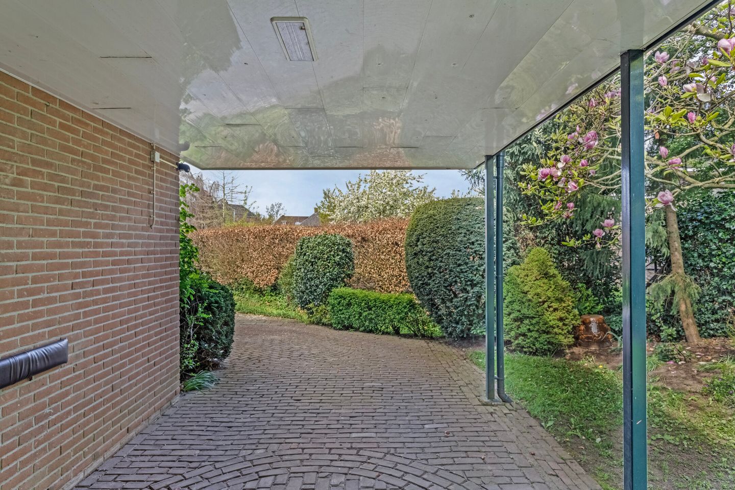 Photo 40 of Plataan 21