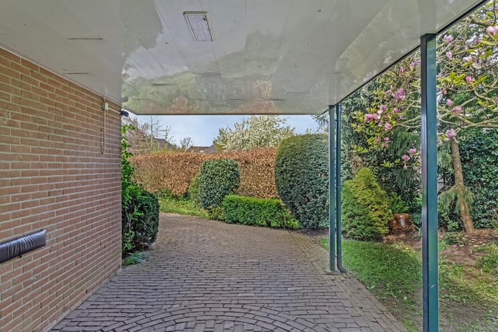 Foto 40 van Plataan 21