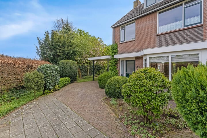 Foto 43 van Plataan 21