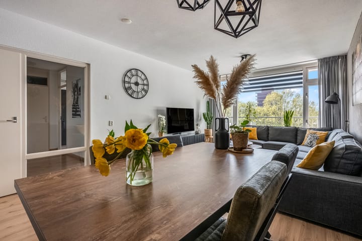 Foto 1 van Pollux 387