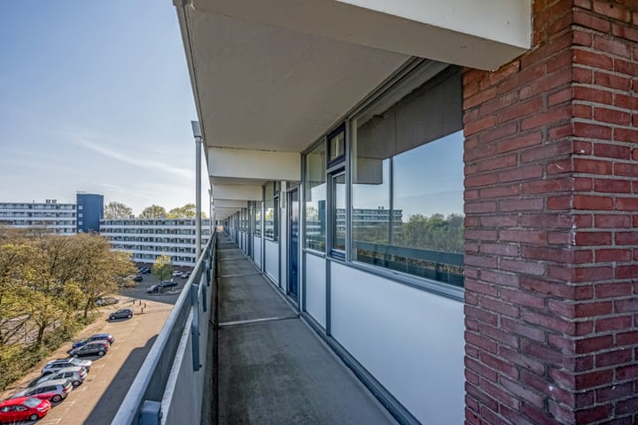 Foto 7 van Pollux 387