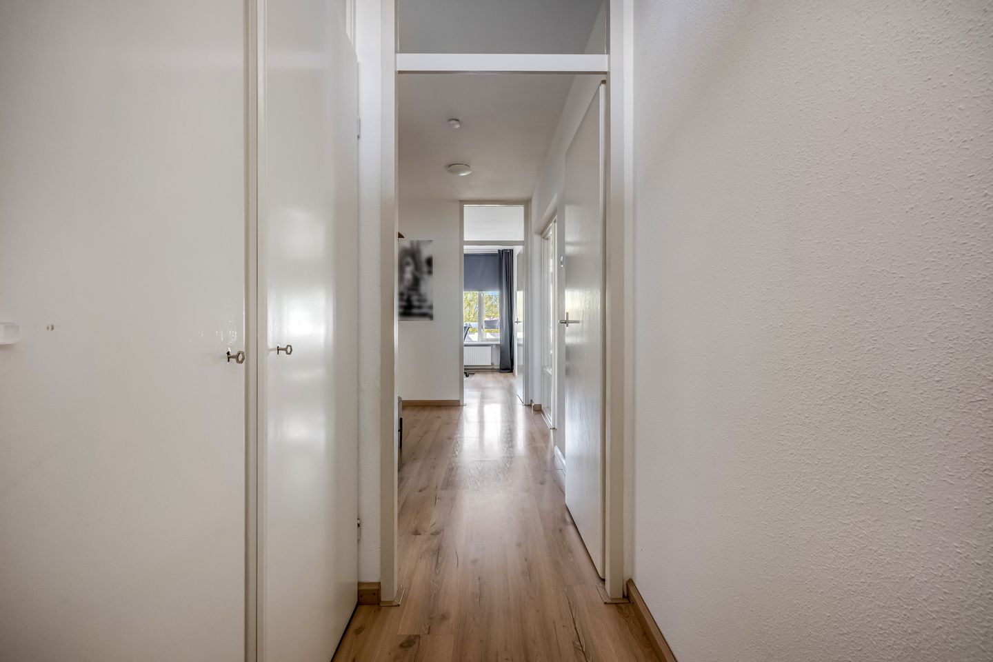 Foto 10 van Pollux 387