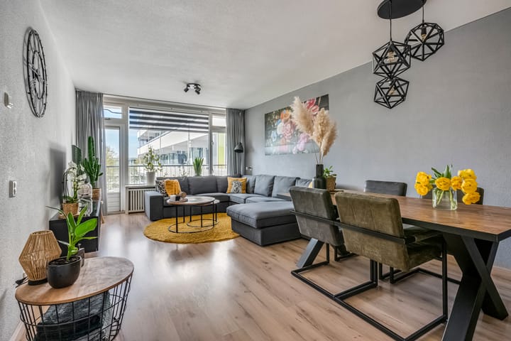 Foto 15 van Pollux 387