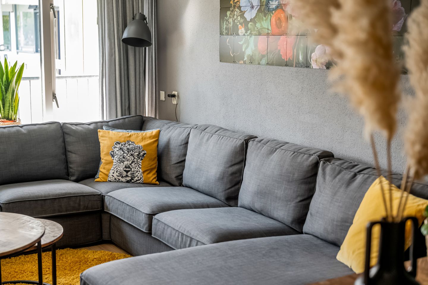 Foto 19 van Pollux 387