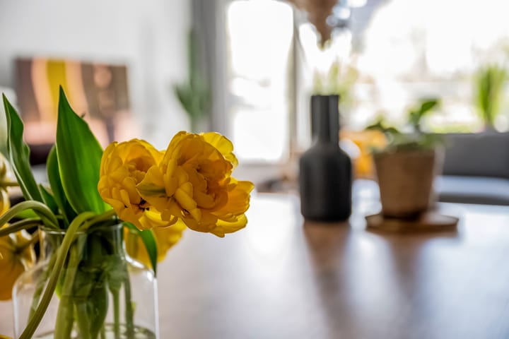 Foto 21 van Pollux 387