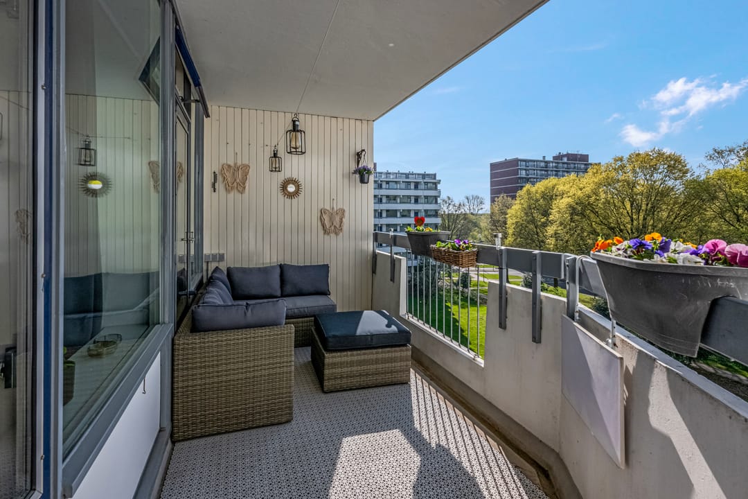 Foto 37 van Pollux 387