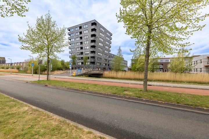 Foto 4 van Rottumeroog 224