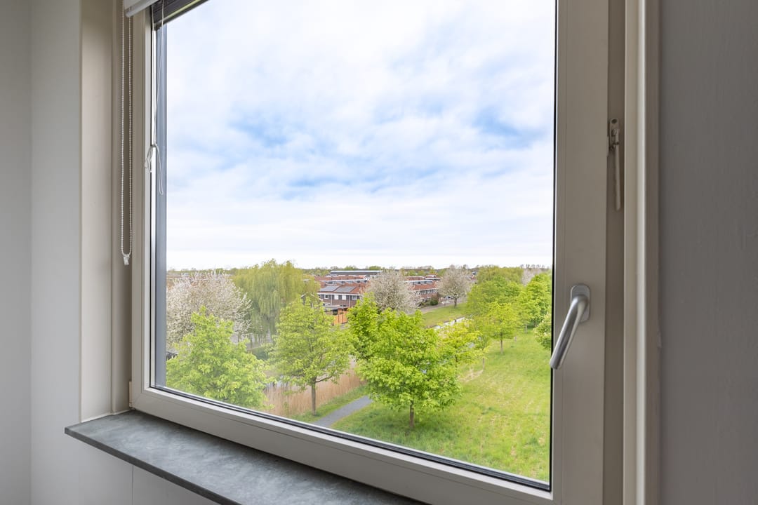 Foto 7 van Rottumeroog 224